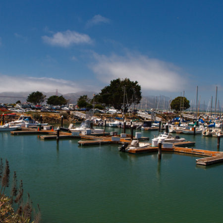 Marina District color