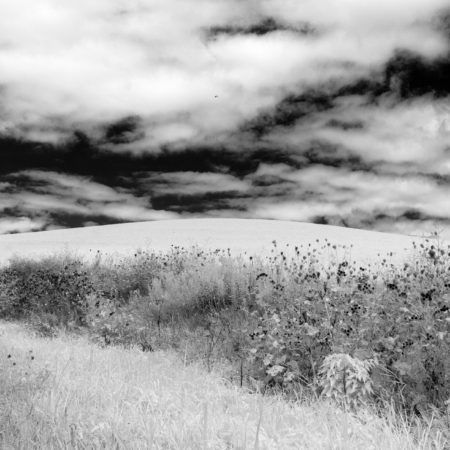 Simple grassy hill horizontal