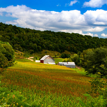 Nestled in Driftless Bluffs - color